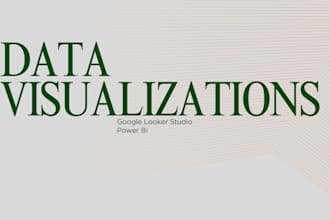 create visuals, reports, dashboards using  looker studio