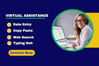 provide accurate data entry and ms office work