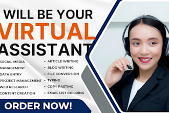 do virtual assistance, data entry, typesetting date typesetting, good sheets, VA