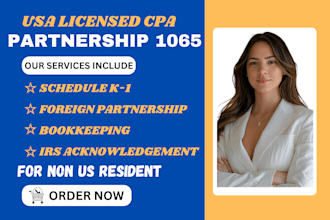 prepare and efile partnership tax return form 1065 in 48 hours