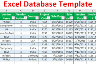 do accurate data entry, data filtering, and interactive excel dashboard