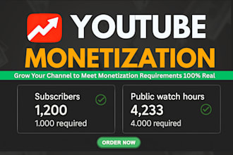 complete youtube channel monetization requirements by organic promotion