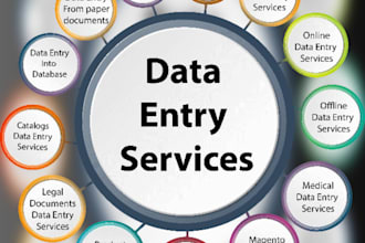 filter and organise data,  dashboard,  vlookup and  data entry