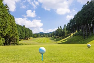 build golf app, golf fantasy app, sport app, tennis app, golf tracking app