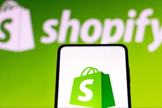 do professional shopify store translation, translate shopify products pages