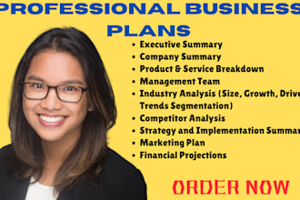 write professional business plan for startups, investors, and loan approval