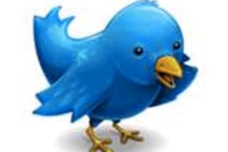 twitter your message to more than 8,000