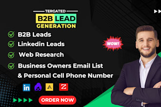 provide b2b lead generation and targeted business email list building services