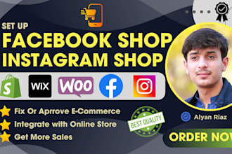 set up facebook shop, instagram shop and integrate with online stores