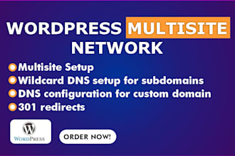 do professional wordpress multisite setup, domain mapping, and management