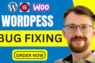 fix wordpress issues, errors, bugs, css, provide wp help