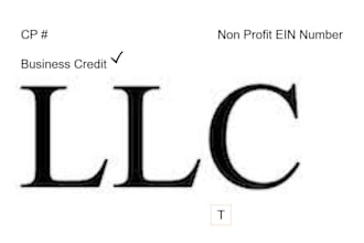 form new llc or nonprofit organization ein,dun bradstreet