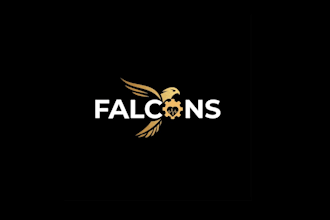 do world class high quality premium falcon logo design