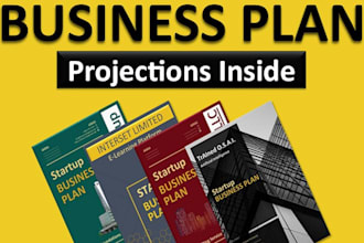 prepare a topnotch business plan, proposal, financial model, franchise proposal
