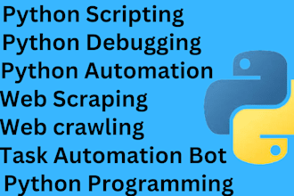 do custom python script python programming python debug web scraping automation