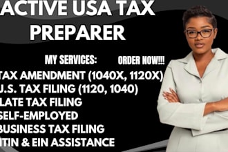 efile llc tax return, amend tax return, cpa audit, 1120 5472, 1065, 1040 as CPA