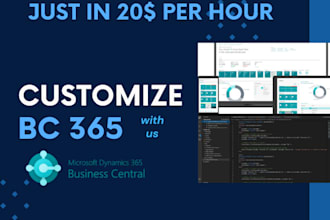provide business central development, customization, and al coding hourly