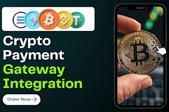 integrate crypto payment gateway for your crypto platform or nft market place
