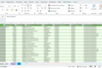 do excel data clean up and organization for accurate results