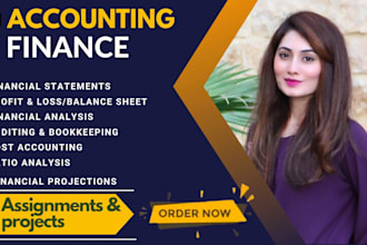 do accounting, finance, prepare financial statements, excel work, ratio analysis