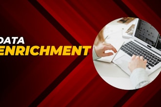 do data enrichment, data entry and b2b lead generation