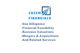 do expert business valuation financial modeling and due diligence services