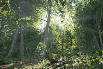 create immersive VR experiences or full games