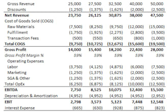 make dynamic financial model including financial statements and forecasts