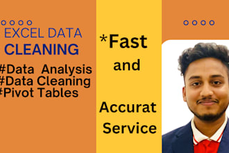 do excel pivot table, graph, charts, data cleaning and data analytics
