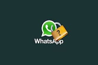 rank whatsapp channel, get active followers, whatsapp member, whatsapp community