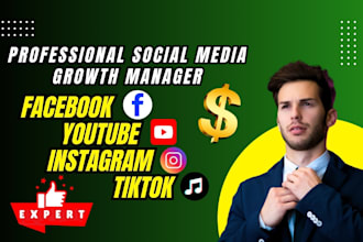 expertly grow and manage your facebook, youtube, instagram, and tiktok