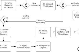 document the process flows along with the identification of controls