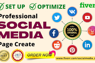 create all social media accounts professionally and set up business pages