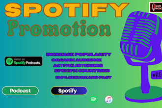 embed your spotify song on the radio new york live website for organic promotion