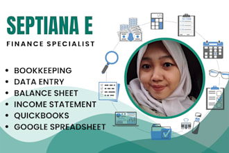 provide professional financial reports, bookkeeping, and data entry services