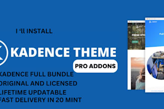 install kadence pro theme and kadence blocks pro updatable