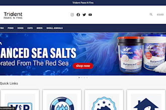 create a fast and SEO friendly wordpress website