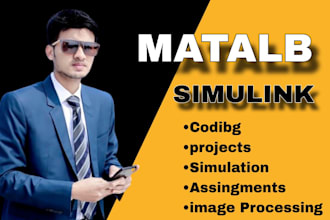 do matlab, simulink, vbscript programming, as well as control and gui projects