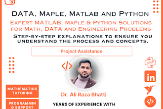 assist you in data, maple, matlab and python and mathematics