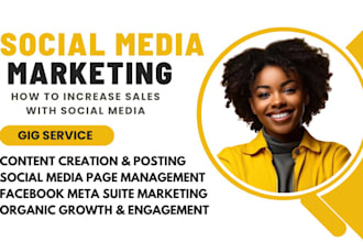 be your social media marketing manager, content creator, instagram and facebook