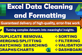 clean, format, graphs, automation, create dashboard excel data