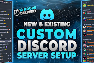 setup new discord and existing discord server setup within 24 hours