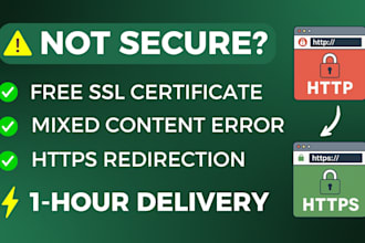 install an SSL certificate on your wordpress site and fix https issues