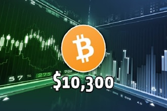 developed profitable bitcoin app on smartphone, laptop