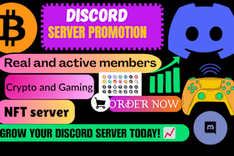 professionally do discord server growth, to increase engagement