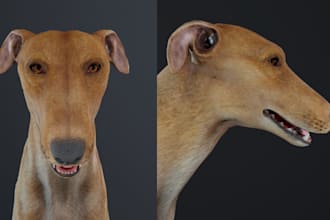 create 3d animal model, animal animation, animal model, 3d animation, 3d animal