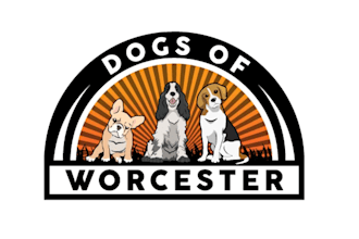 design a fun and professional doggy daycare logo
