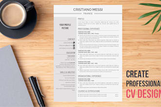 make a professional and elegant CV design