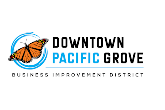 design incredible butterfly logo