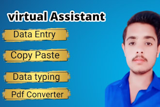 do data entry in excel, copy paste, database